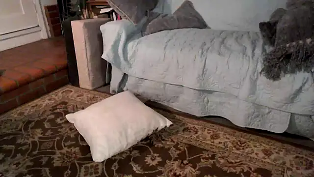 Snapshot of Dark_Asteroid chatting on 02-20-26, 12:38 Dark Asteroid online show from 02-20-26, 12:38