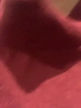 Snapshot of Klio5678 chatting on 03-06-26, 06:04 Klio5678 online show from 03-06-26, 06:04