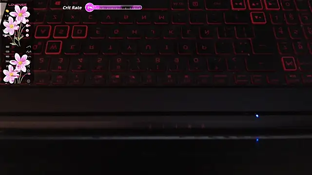 Snapshot of camilita08 chatting on 03-11-26, 04:18 camilita08 online show from 03-11-26, 04:18