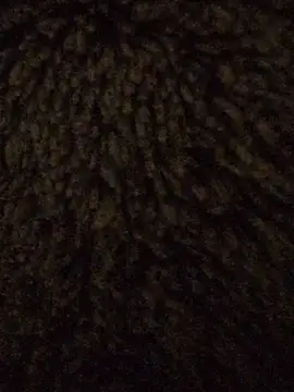 powermast online show from 01-18-26, 02:43