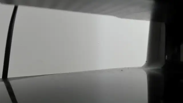 Alejandra Dunn online show from 10-03-25, 01:19