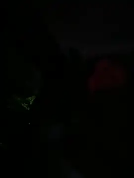 Brunettexio online show from 03-13-25, 12:16