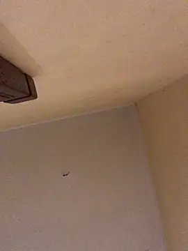 ClatteryPrexy online show from 03-19-26, 12:58