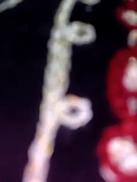 Anamika 24 online show from 11-08-25, 04:34