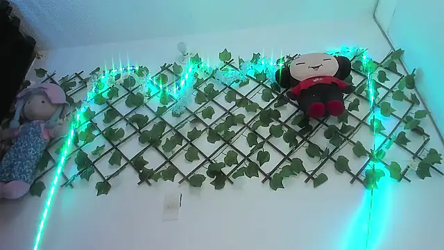 Pucaa  online show from 12-13-24, 01:37