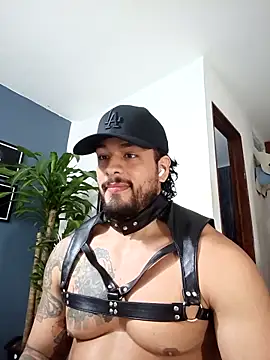 SilvaBranko online show from 12-17-25, 12:49