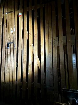 czruz online show from 09-20-25, 03:35