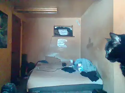 Nightshade7712 online show from 02-04-25, 05:55