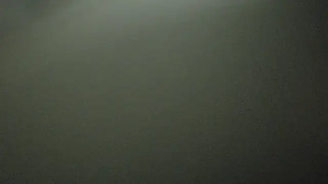 Armyexhibitionistvet online show from 10-03-25, 11:35