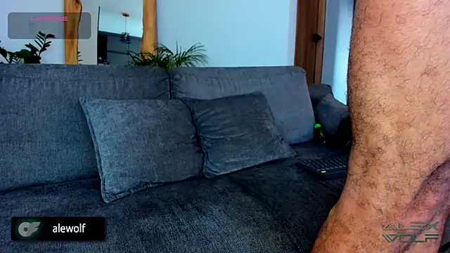 alex wolf  online show from 02-25-26, 10:19