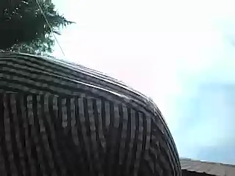 Snapshot of Javan_ chatting on 01-15-25, 08:41 Javan online show from 01-15-25, 08:41