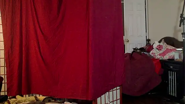 Ireallysquirt online show from 01-16-25, 07:28
