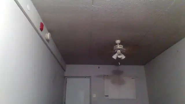 Snapshot of bigdick5157 chatting on 10-07-25, 10:56 bigdick5157 online show from 10-07-25, 10:56