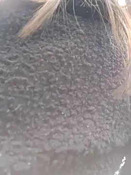 Violeta 12- online show from 03-18-25, 07:31