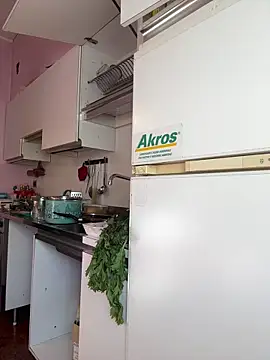 Snapshot of Sunbelxx chatting on 11-04-25, 08:46 Sunbelxx online show from 11-04-25, 08:46