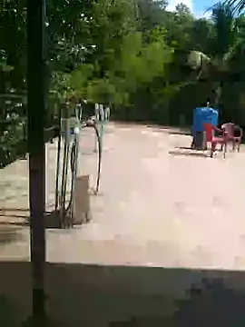 Mafiya1604 online show from 09-25-25, 09:46