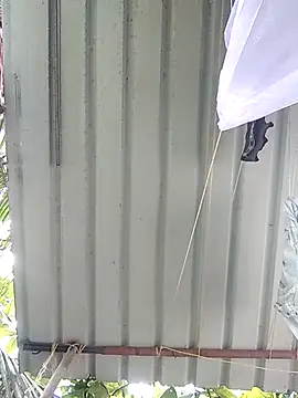 Mafiya1604 online show from 09-27-25, 04:17