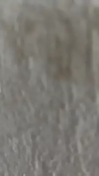 Snapshot of Ishikarana chatting on 10-08-25, 05:05 Ishikarana online show from 10-08-25, 05:05