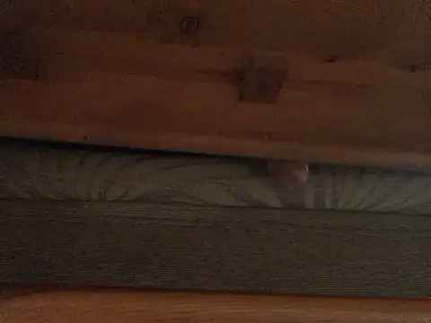 Dicksexhandjob online show from 02-21-25, 01:33