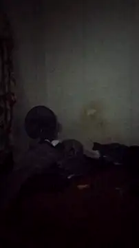 Flaquito pitudo online show from 12-09-24, 08:22