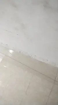 Flaquito pitudo online show from 02-25-25, 12:03