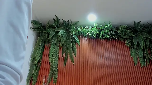 alice greco online show from 06-02-26, 11:34