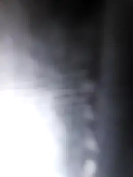 studboy1111 online show from 12-31-24, 06:46