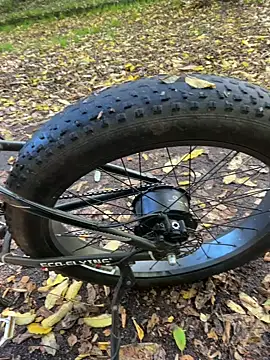 Shyboy817 online show from 10-28-25, 02:20