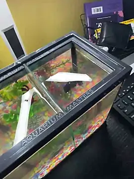 Snapshot of VFuck4U_xxx chatting on 03-10-25, 01:21 VFuck4U xxx online show from 03-10-25, 01:21