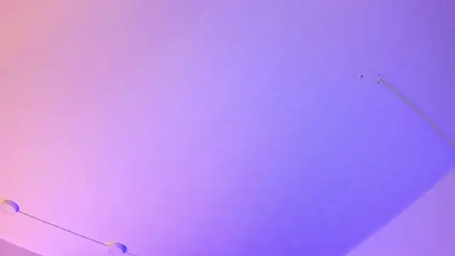 Snapshot of SophiaWylde chatting on 03-11-25, 06:43 SophiaWylde online show from 03-11-25, 06:43