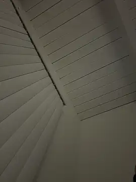 Papinine6 online show from 11-12-25, 10:48