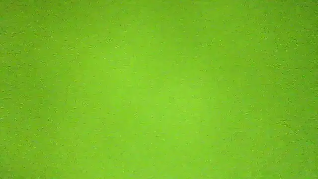 AbbyX online show from 11-29-25, 10:29