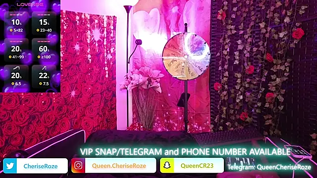 Snapshot of cheriserozequeen chatting on 03-04-25, 08:27 cheriserozequeen online show from 03-04-25, 08:27