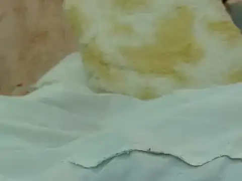 hairy pussywet online show from 02-04-25, 12:40