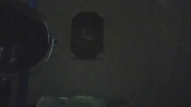 hailzeffn online show from 05-07-26, 02:33