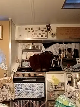 Snapshot of whitetrashdirtyslut chatting on 03-18-26, 01:14 whitetrashdirtyslut online show from 03-18-26, 01:14