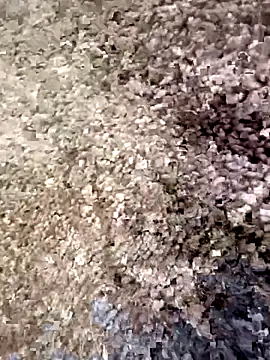 christian0009 online show from 12-18-25, 04:46