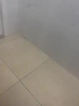 Snapshot of rafahpirusudo chatting on 03-19-26, 08:29 rafahpirusudo online show from 03-19-26, 08:29