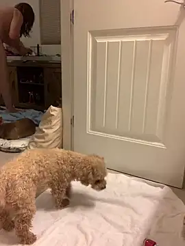 balad13 online show from 01-21-25, 04:32