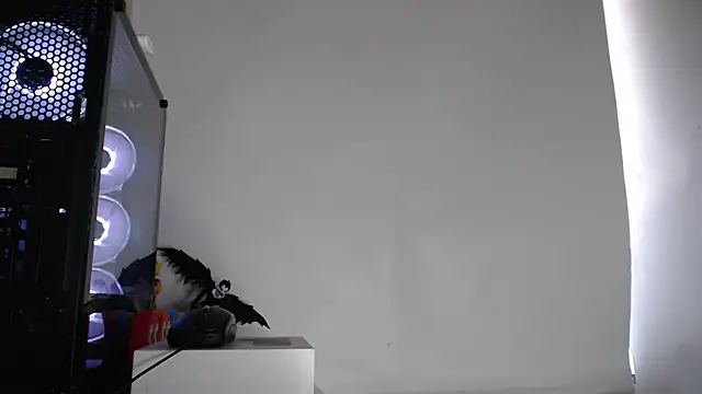 harold 18  online show from 10-02-25, 06:15