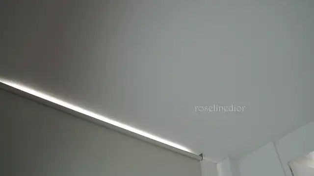 roselinedior online show from 09-26-25, 03:05