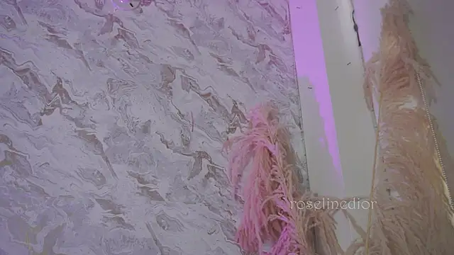 roselinedior online show from 12-02-25, 01:17