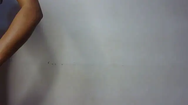 seema raani online show from 01-24-25, 03:34