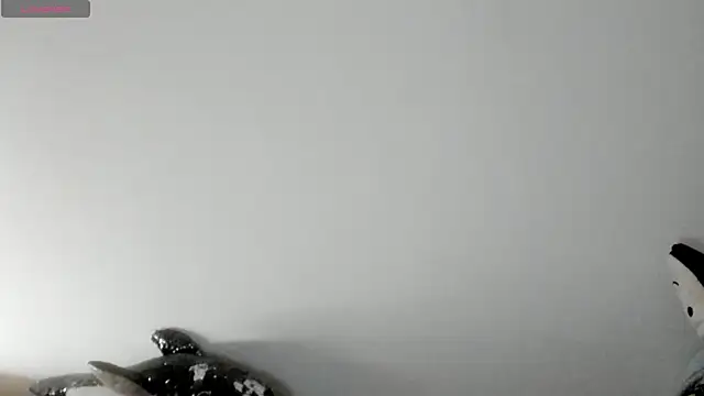 queen fetish online show from 01-08-26, 02:30