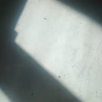 ScrawnyMotor3 online show from 04-22-26, 10:06