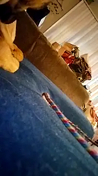 fukurbutt online show from 02-19-26, 03:41