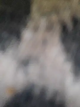 Snapshot of marcialoira chatting on 02-05-25, 10:12 marcialoira online show from 02-05-25, 10:12