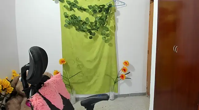 Snapshot of corzoethan chatting on 01-11-25, 02:41 corzoethan online show from 01-11-25, 02:41