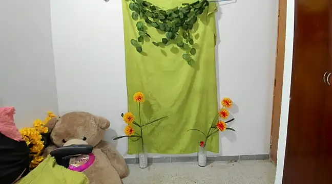 Snapshot of corzoethan chatting on 02-14-25, 02:28 corzoethan online show from 02-14-25, 02:28