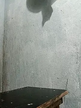 Sergipano fogozinho online show from 12-05-25, 01:47